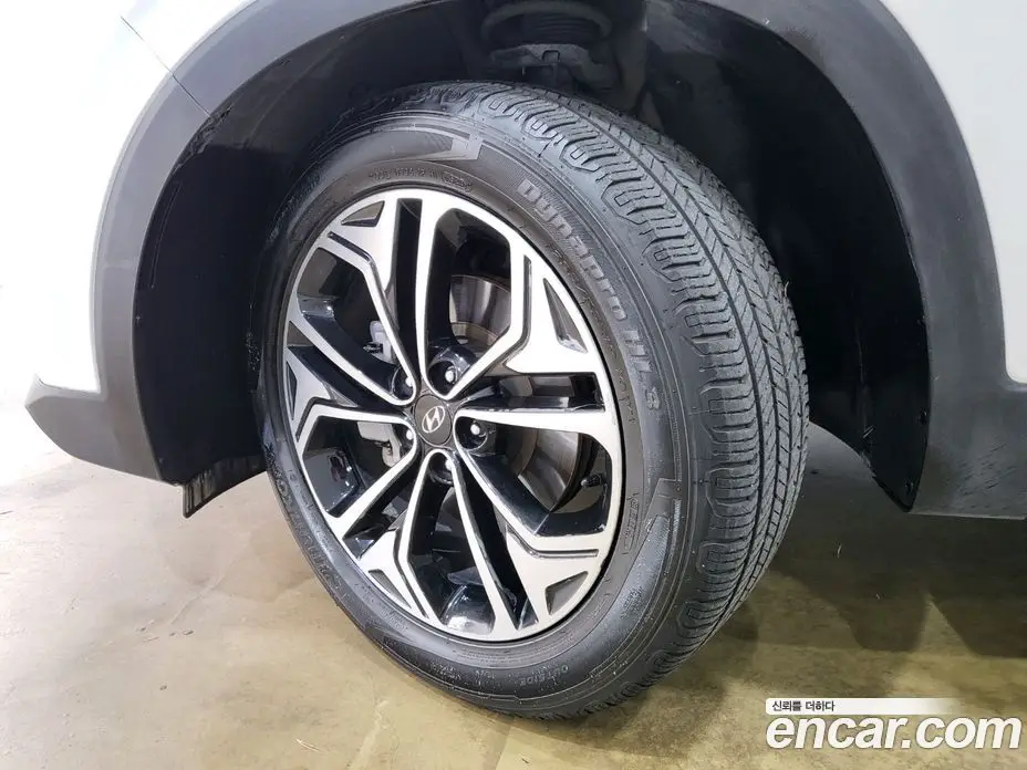 Hyundai Santa Fe 2019 2.0 автомат (гидро), фото 19