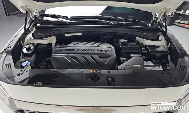 Hyundai Santa Fe 2019 2.0 автомат (гидро), миниатюра 5