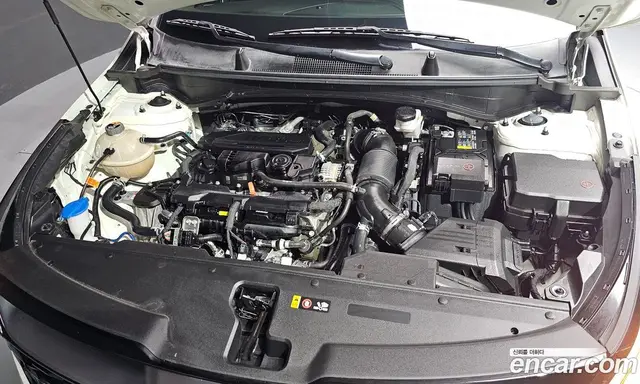 Kia Sportage 2024 1.6 автомат (гидро), миниатюра 6