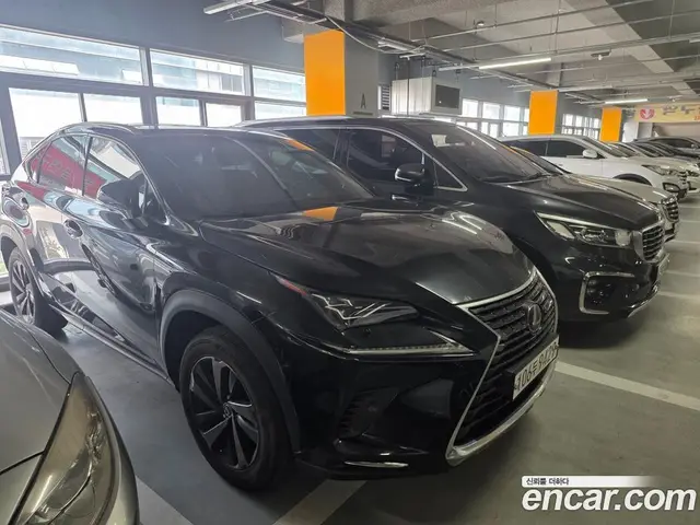 Lexus NX 2021 2.5 автомат (гидро), миниатюра 2
