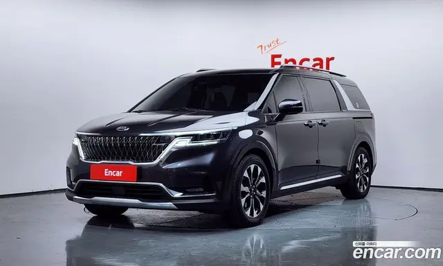 Kia Carnival, 2020, 166 409 км
