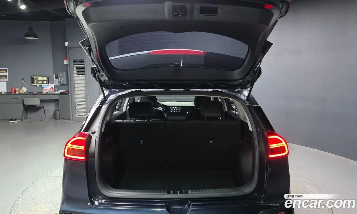 Kia Niro 2019 1.6 автомат (гидро), фото 20