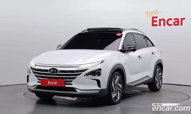 Hyundai Nexo, 2019, 98 563 км