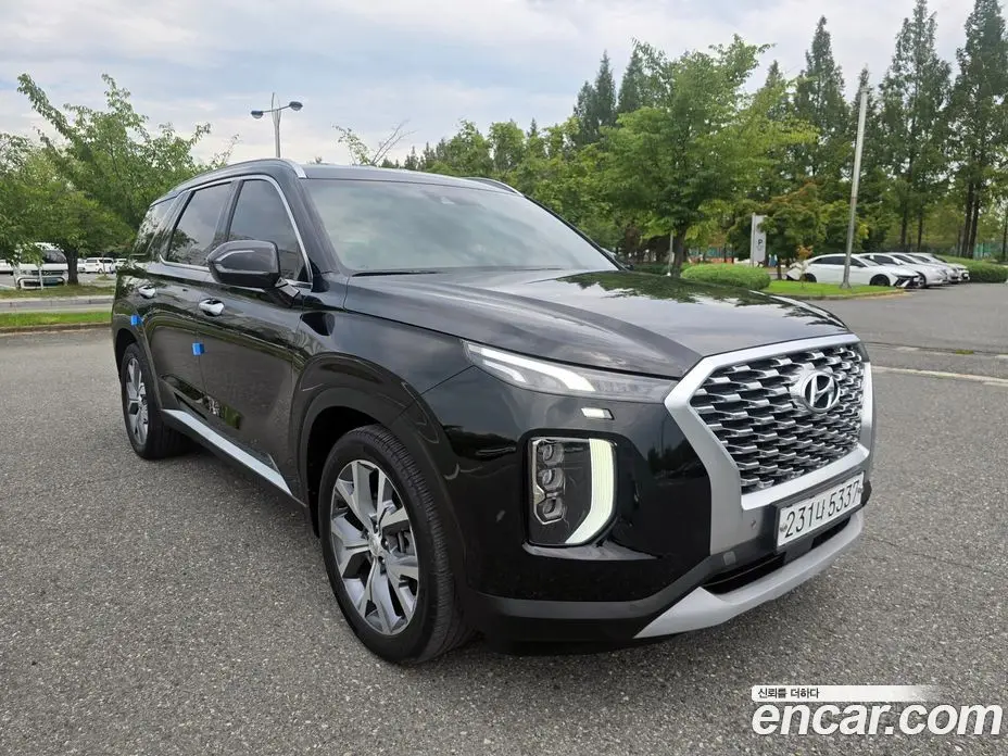 Hyundai Palisade 2019 3.8 автомат (гидро), фото 17
