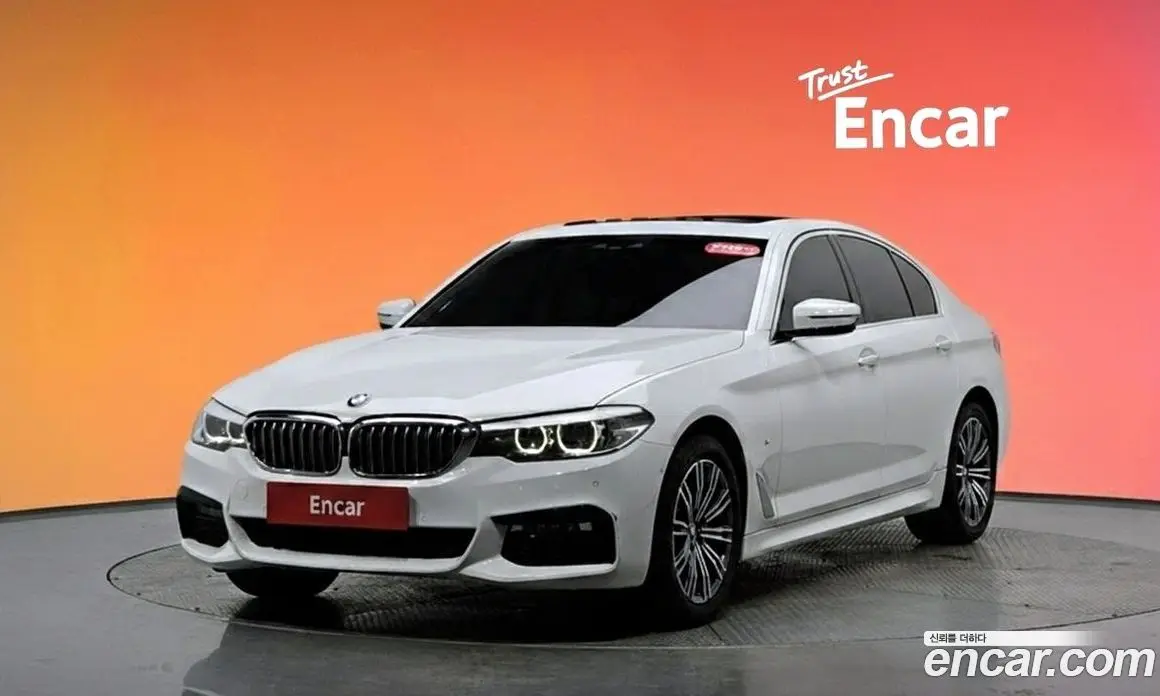 BMW 5 серия 2018 2.0 автомат (гидро), фото 20