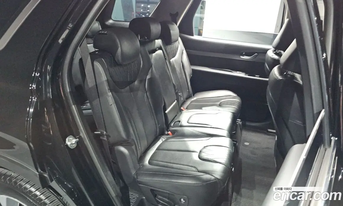 Hyundai Palisade 2019 2.2 автомат (гидро), фото 17