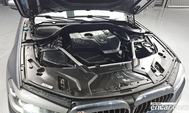 BMW 5 серия 2018 2.0 автомат (гидро), миниатюра 6