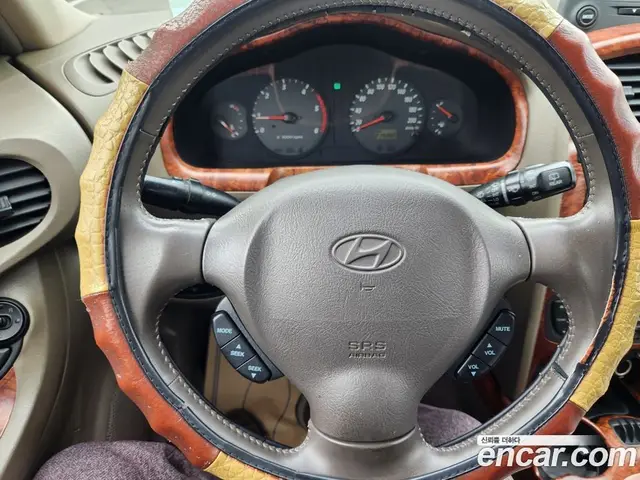 Hyundai Santa Fe 2004 2.0 автомат (гидро), миниатюра 12