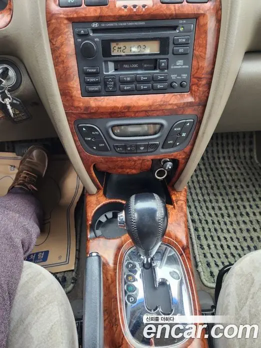 Hyundai Santa Fe 2004 2.0 автомат (гидро), фото 14
