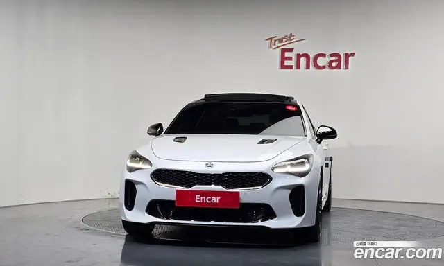 Kia Stinger 2018 2.0 автомат (гидро), миниатюра 3