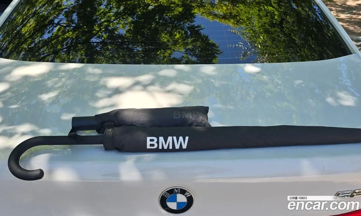 BMW 5 серия 2018 2.0 автомат (гидро), фото 11