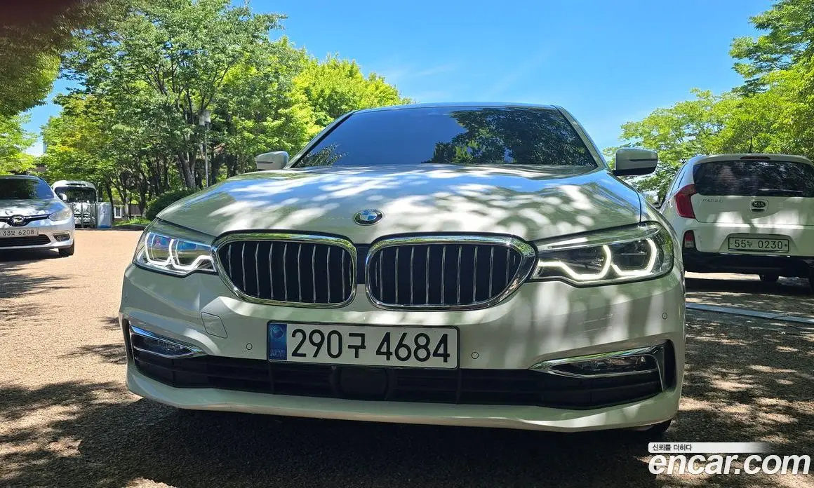 BMW 5 серия 2018 2.0 автомат (гидро), фото 3