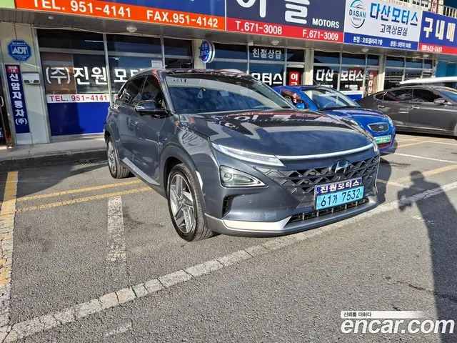 Hyundai Nexo, 2020, 96 409 км