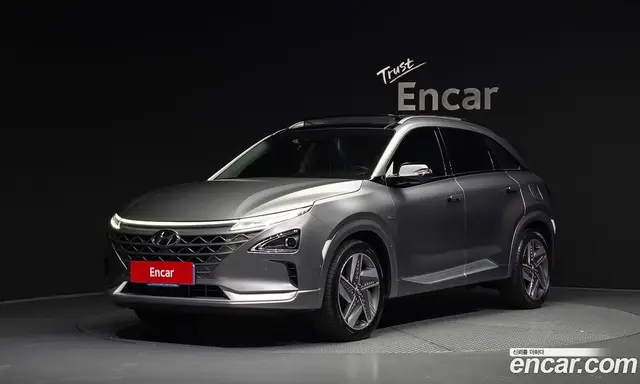 Hyundai Nexo, 2020, 134 049 км