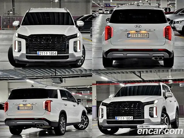 Hyundai Palisade 2024 2.2 автомат (гидро), миниатюра 2
