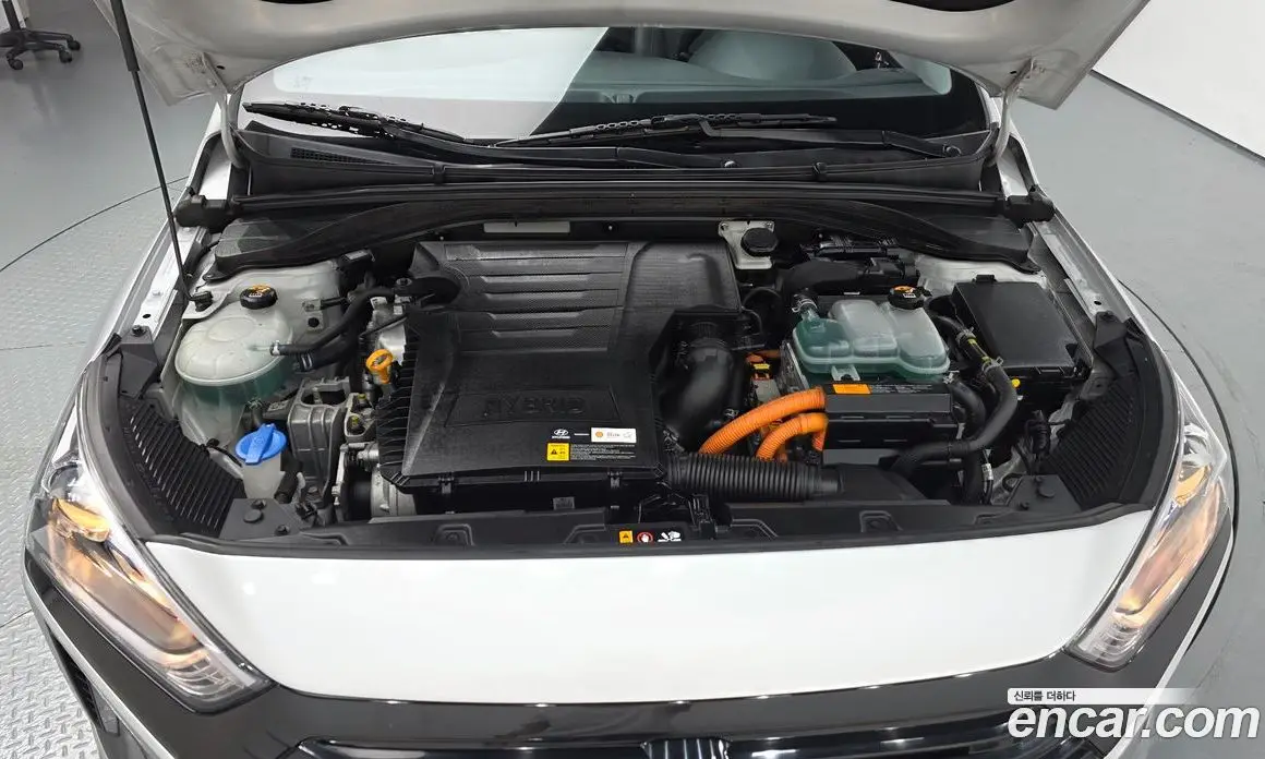 Hyundai Ioniq 2016 1.6 автомат (гидро), фото 5