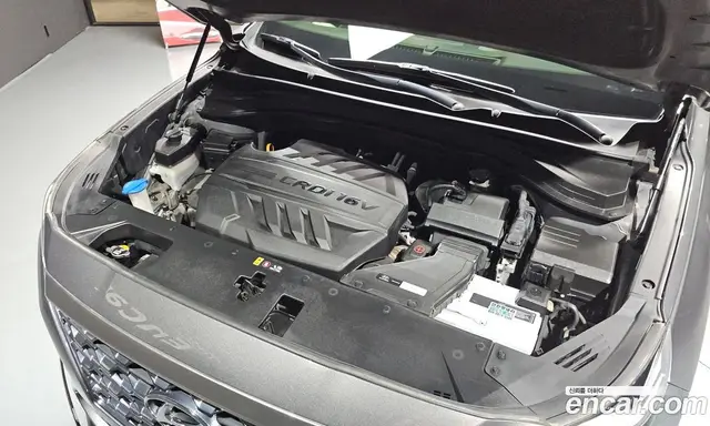 Hyundai Santa Fe 2019 2.0 автомат (гидро), миниатюра 6