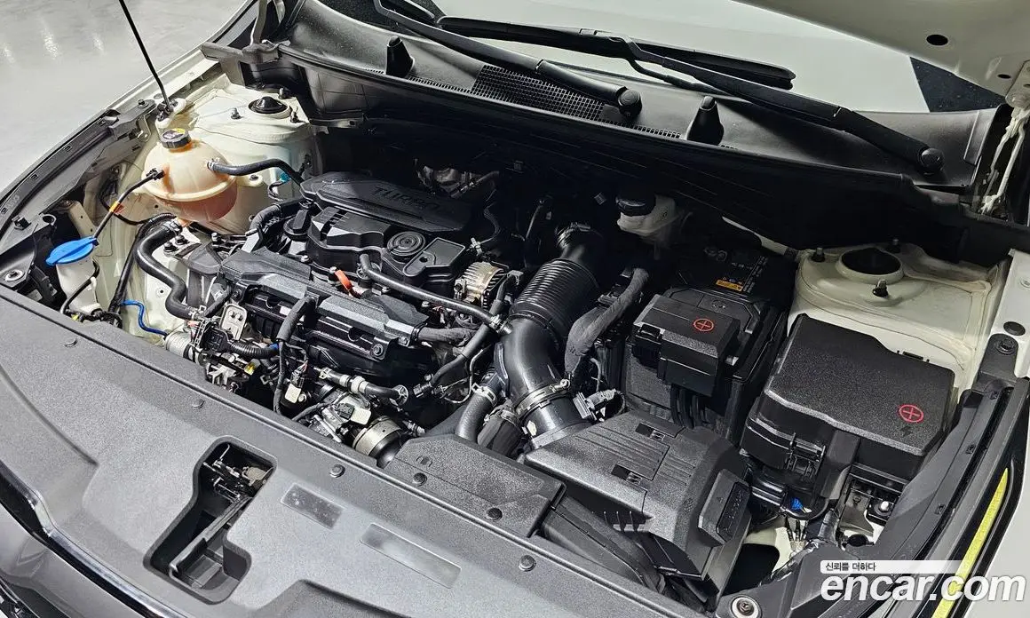 Kia Sportage 2021 1.6 автомат (гидро), фото 6