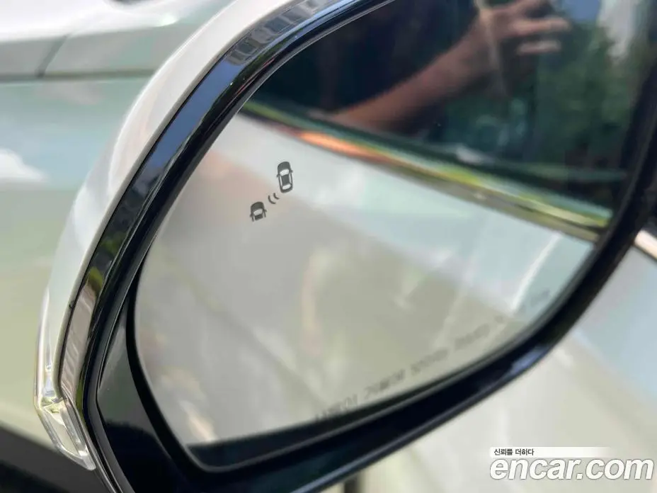 Hyundai Santa Fe 2017 2.0 автомат (гидро), фото 20