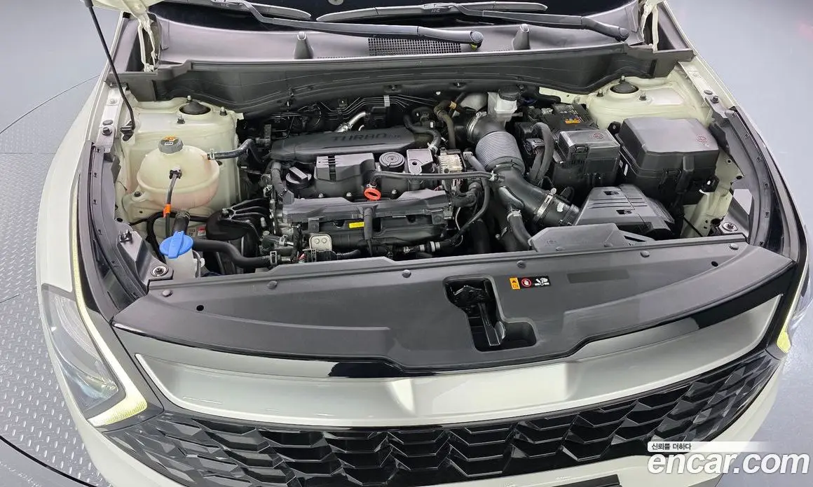 Kia Sportage 2023 1.6 автомат (гидро), фото 5