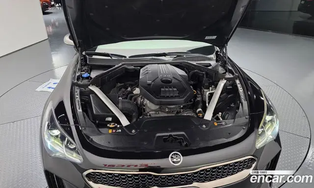Kia Stinger 2017 2.0 автомат (гидро), миниатюра 6