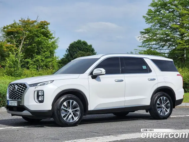Hyundai Palisade 2019 2.2 автомат (гидро), миниатюра 4
