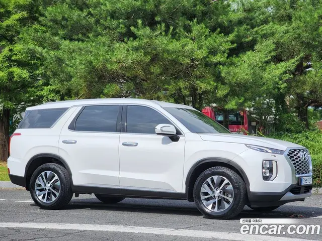 Hyundai Palisade 2019 2.2 автомат (гидро), миниатюра 7