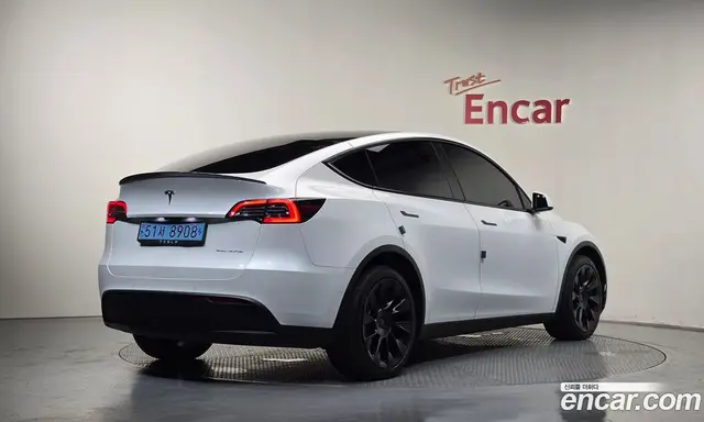 Tesla Model Y, 2022, 69 207 км