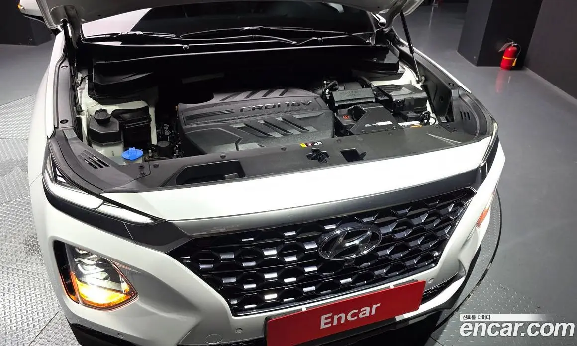 Hyundai Santa Fe 2018 2.0 автомат (гидро), фото 6