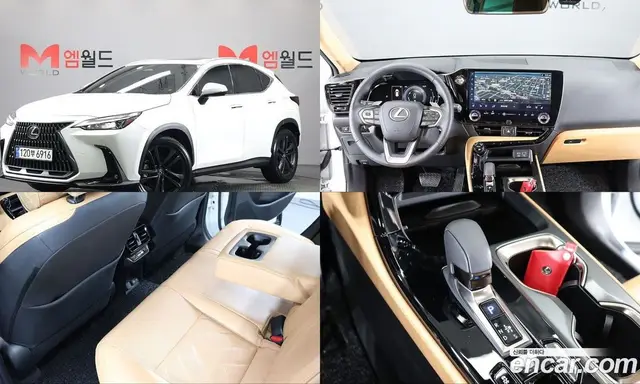 Lexus NX, 2023, 9 337 км