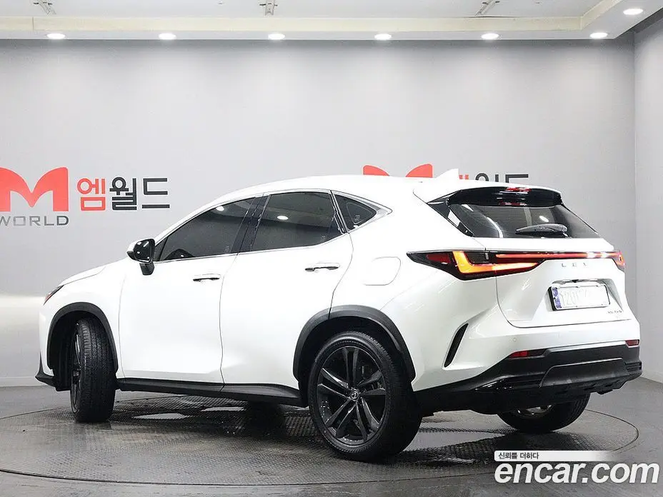Lexus NX 2023 2.5 автомат (гидро), фото 4