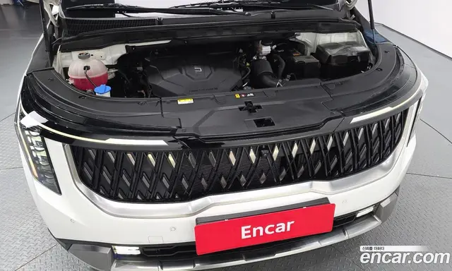 Kia Carnival 2024 2.2 автомат (гидро), миниатюра 6