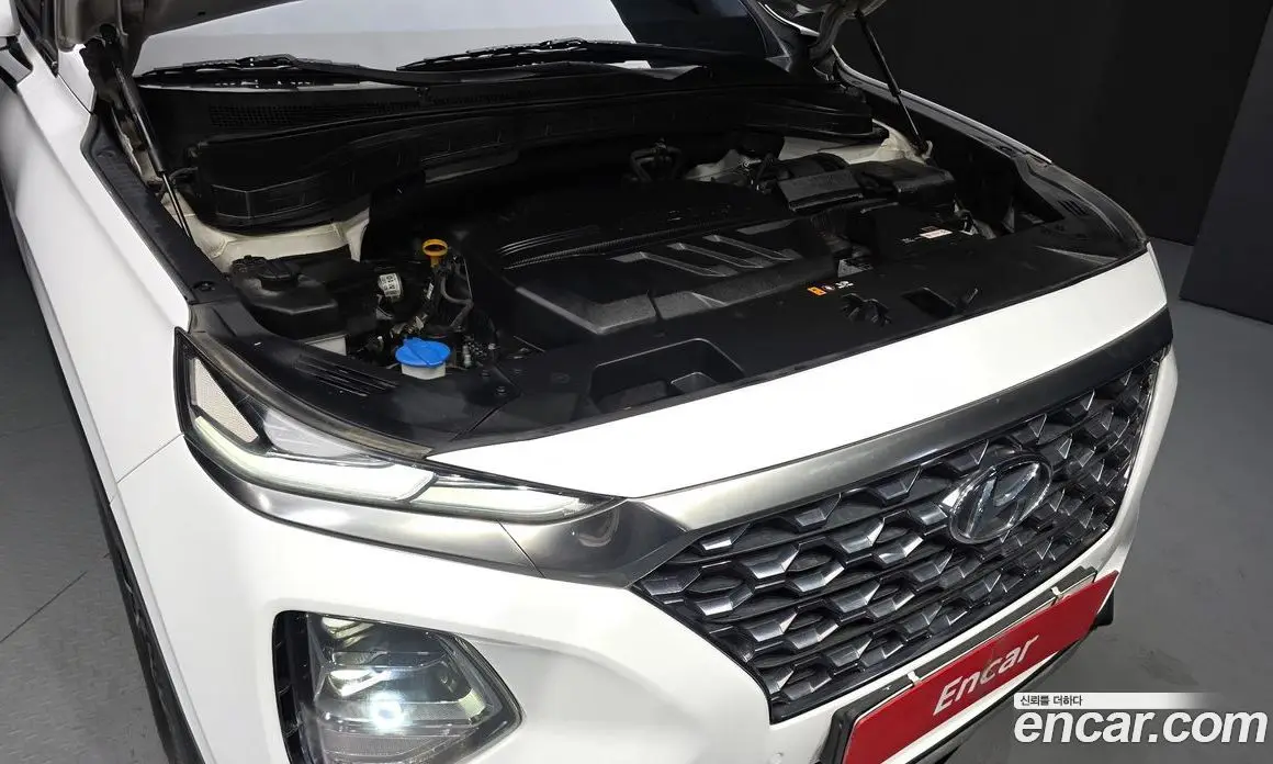 Hyundai Santa Fe 2018 2.0 автомат (гидро), фото 6