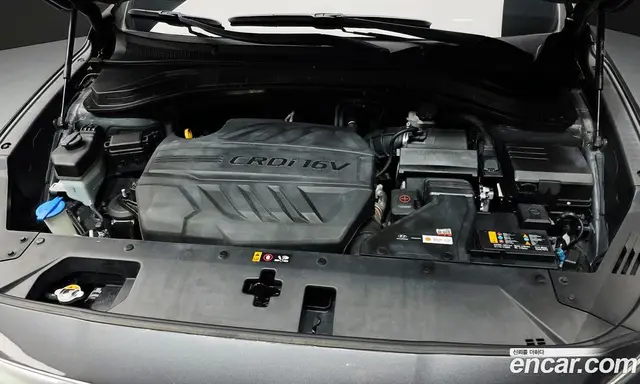 Hyundai Santa Fe 2019 2.0 автомат (гидро), миниатюра 6