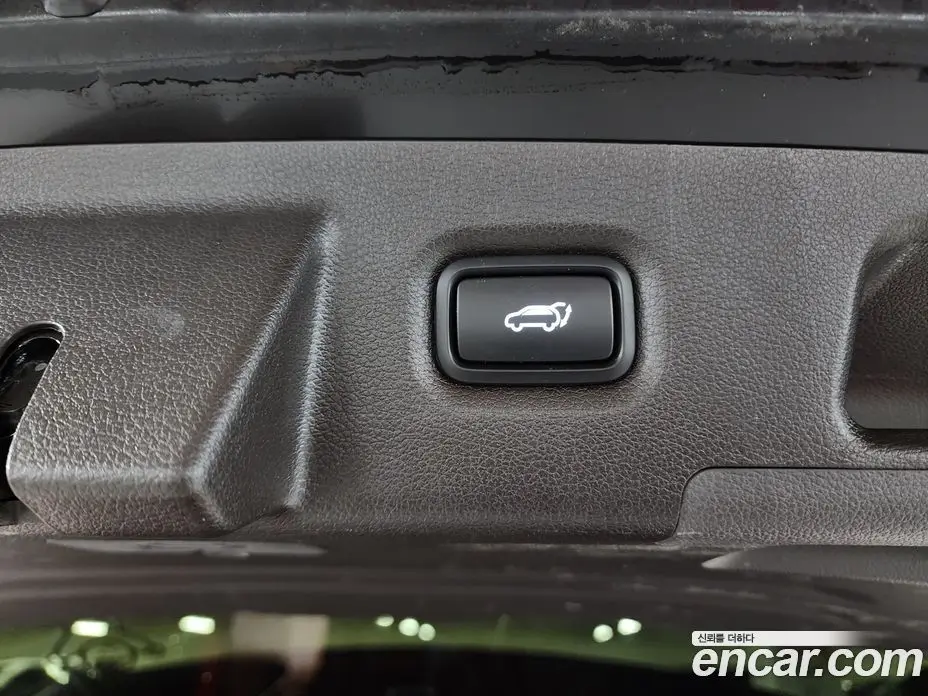Hyundai Santa Fe 2019 2.0 автомат (гидро), фото 19 Hyundai Santa Fe 2019 2.0 автомат (гидро), фото 19