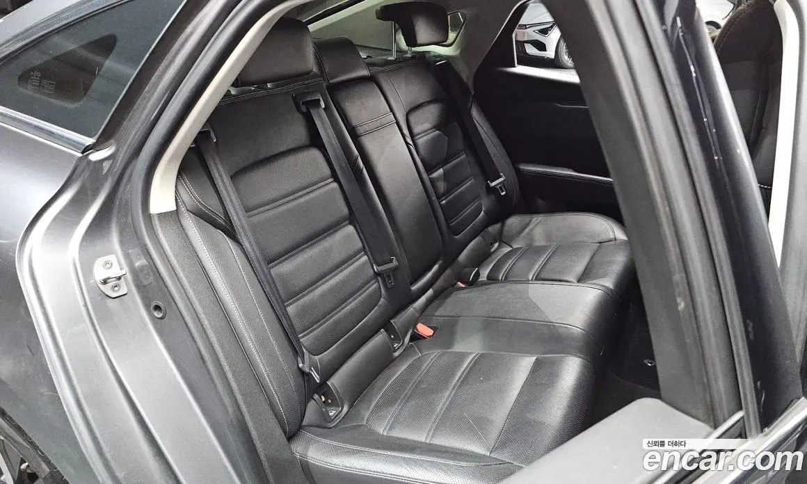 Renault (Samsung) SM6 2016 2.0 автомат (гидро), фото 16