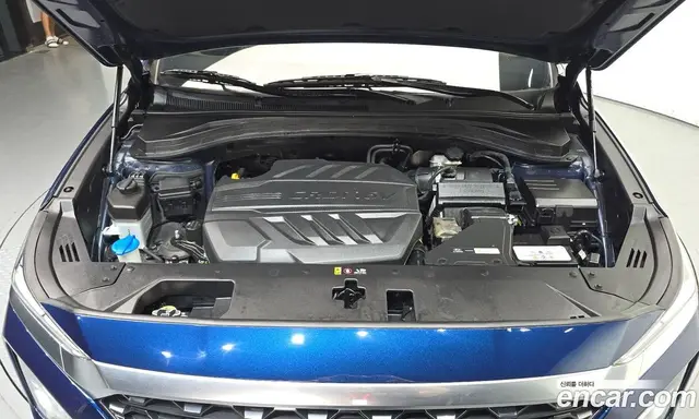 Hyundai Santa Fe 2019 2.0 автомат (гидро), миниатюра 6