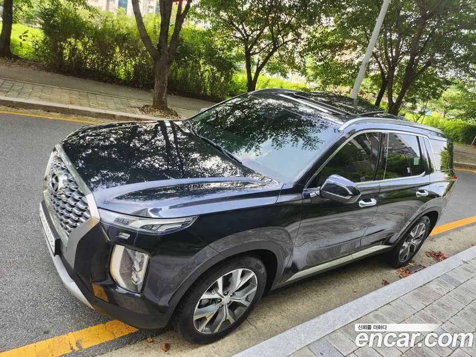 Hyundai Palisade 2019 2.2 автомат (гидро), фото 20