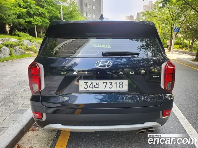 Hyundai Palisade 2019 2.2 автомат (гидро), миниатюра 4