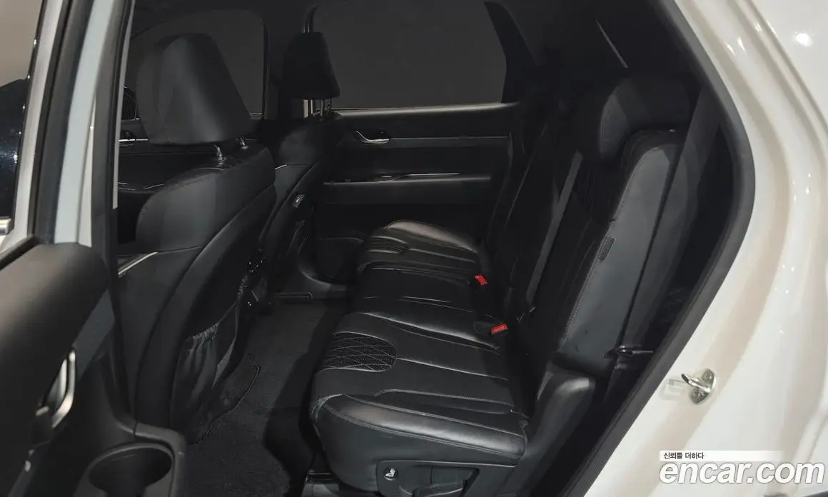 Hyundai Palisade 2019 2.2 автомат (гидро), фото 11 Hyundai Palisade 2019 2.2 автомат (гидро), фото 11