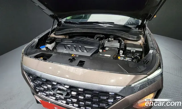 Hyundai Santa Fe 2019 2.0 автомат (гидро), миниатюра 6