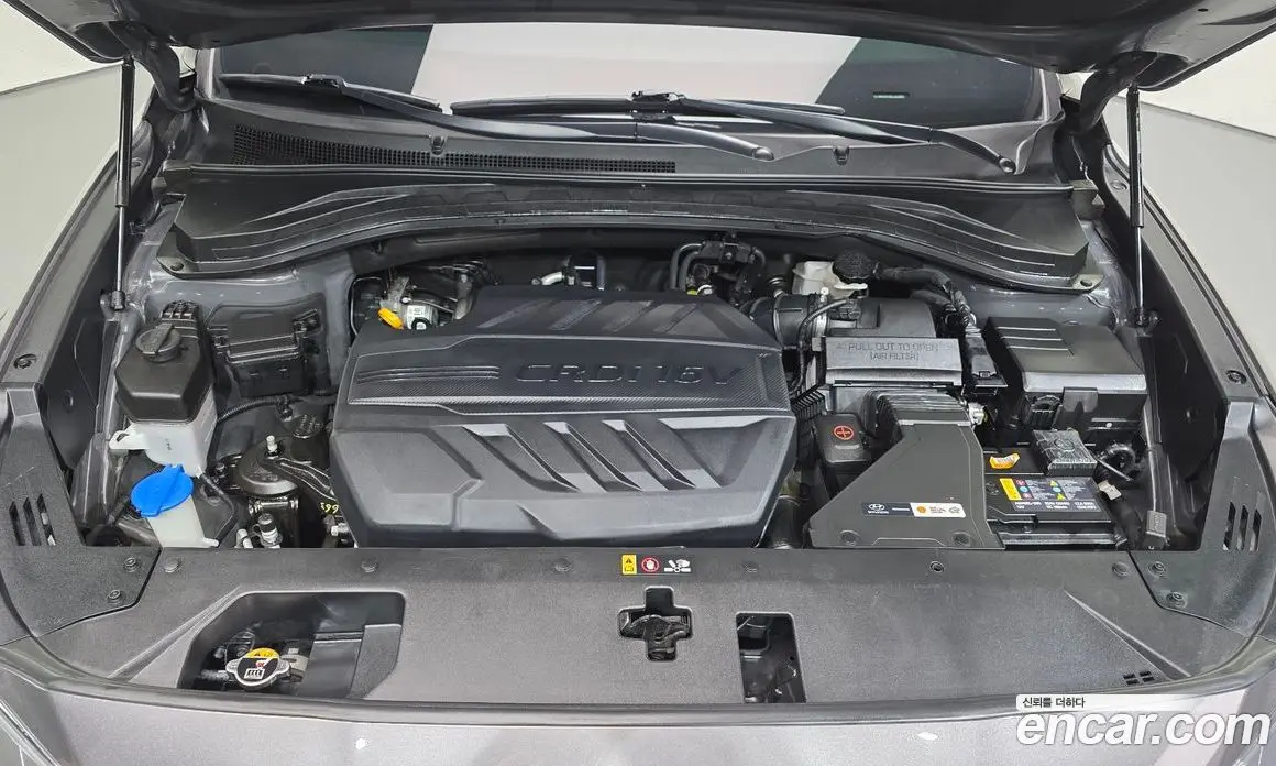 Hyundai Santa Fe 2019 2.0 автомат (гидро), фото 6