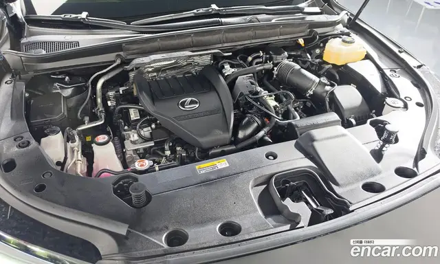 Lexus RX 2025 2.4 автомат (гидро), миниатюра 6