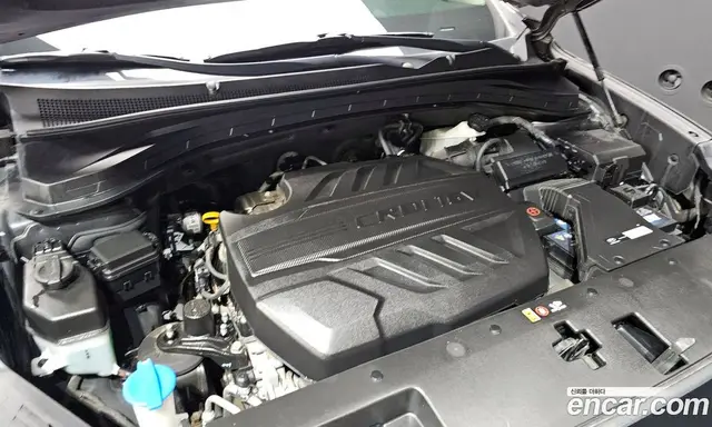 Hyundai Santa Fe 2018 2.0 автомат (гидро), миниатюра 6