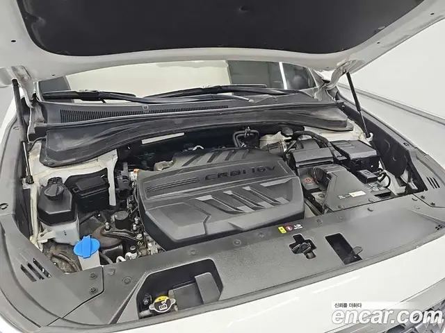 Hyundai Santa Fe 2020 2.0 автомат (гидро), миниатюра 5