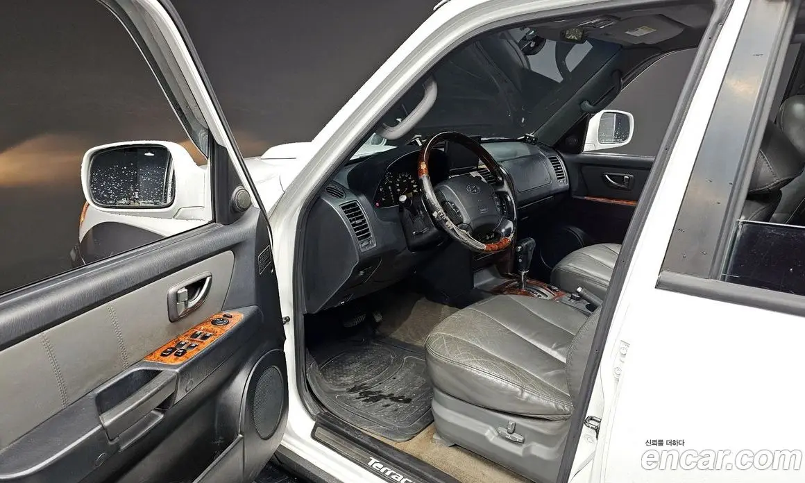 Hyundai Terracan 2003 2.9 АКПП, фото 11