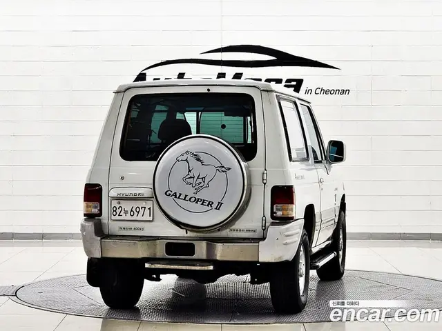 Hyundai Galloper 1997 2.5 МКПП, миниатюра 4