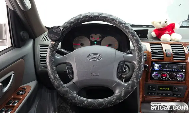 Hyundai Terracan 2006 2.9 АКПП, миниатюра 12