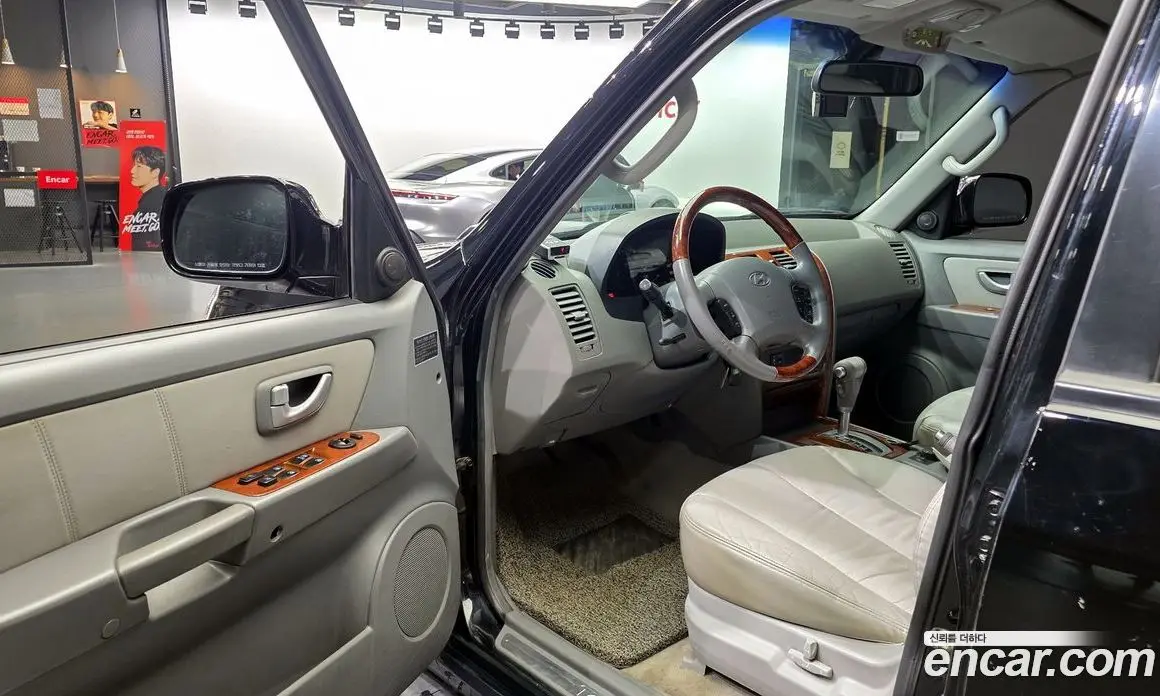 Hyundai Terracan 2004 2.9 АКПП, фото 10