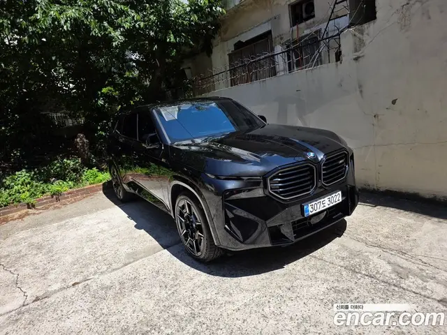 BMW XM, 2023, 13 000 км